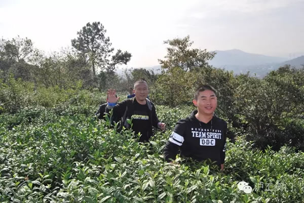 �Ϻ������y�T�S2016���＾ͽ�����л�� �D10