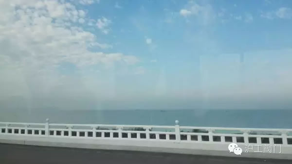 �Ϻ������y�T�S2016���＾ͽ�����л�� �D28