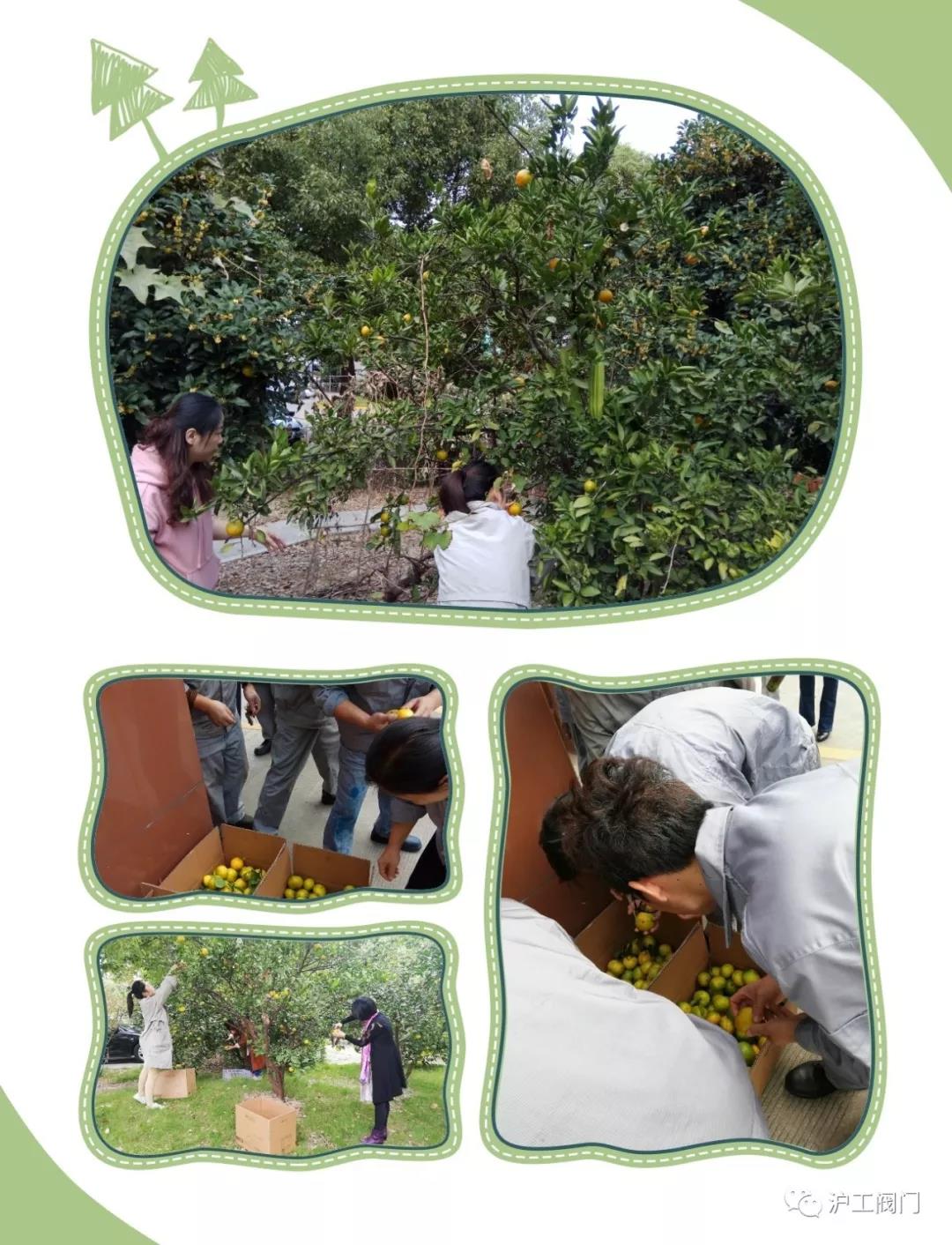 �ի@���ӣ��D4��