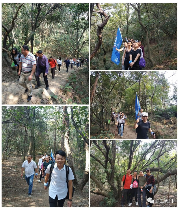 �Ϻ������y�T(m��n)�S2019���＾ͽ�����л��(d��ng)���D2��