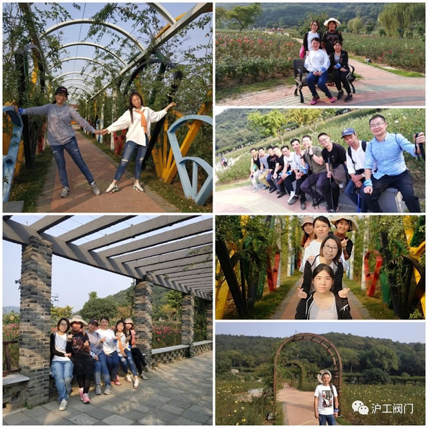 �Ϻ������y�T(m��n)�S2019���＾ͽ�����л��(d��ng)���D7��